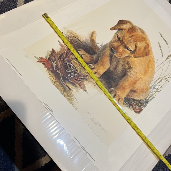 🖼️ 🐶 🖼️• 💎 AMY BRACKENBURY x 🐸 “Toadally” Vibes - Picture 3 of 16